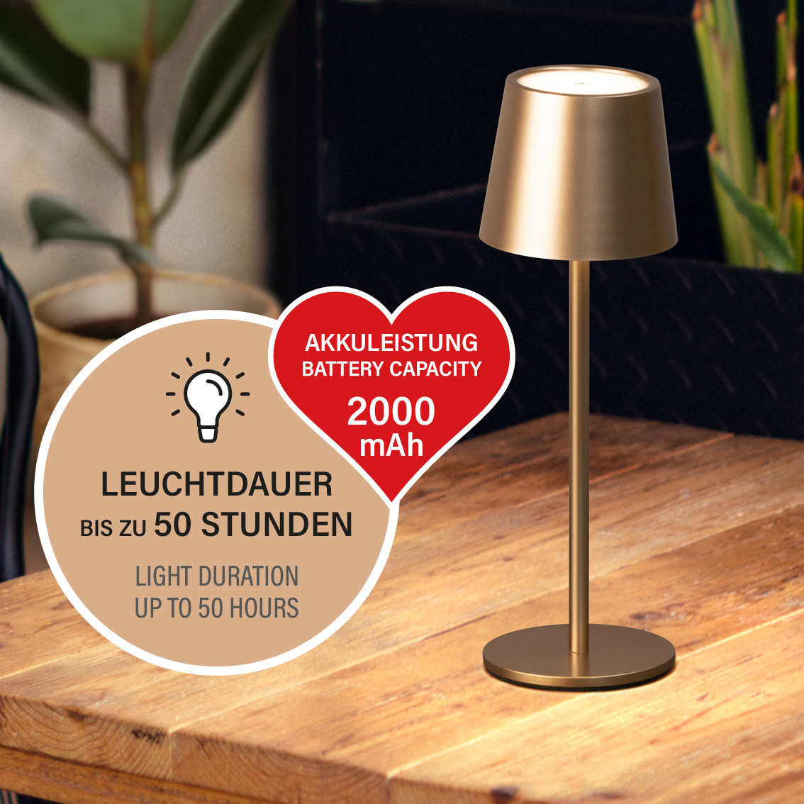 LED-Tisch/- und Außenleuchte Roxi coffeefarben