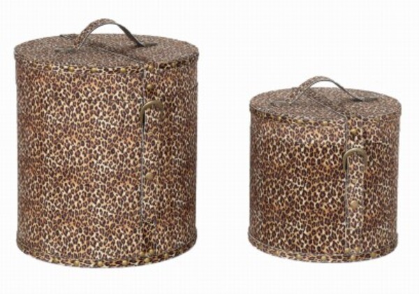 Box braun - KARE Wild Animal Leo (2/Set)