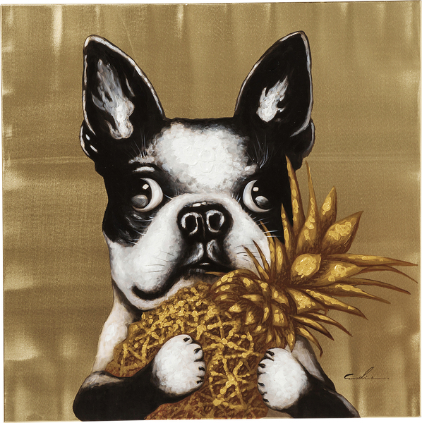 Bild gold - 80 x 80 cm - KARE Touched Dog with Pineapple