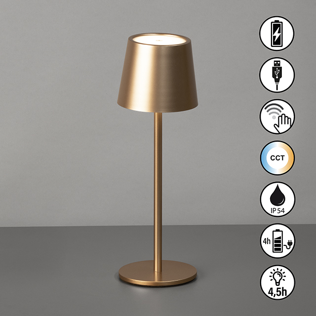 LED-Tisch/- und Außenleuchte Roxi coffeefarben