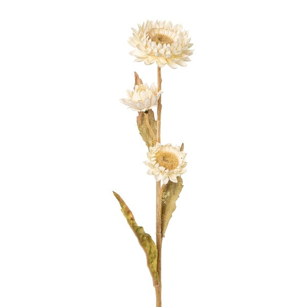 Gasper Kunstblume Strohblume creme 61 cm
