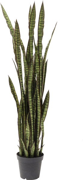 Deko Pflanze grün - 155 cm - KARE Sansewieria