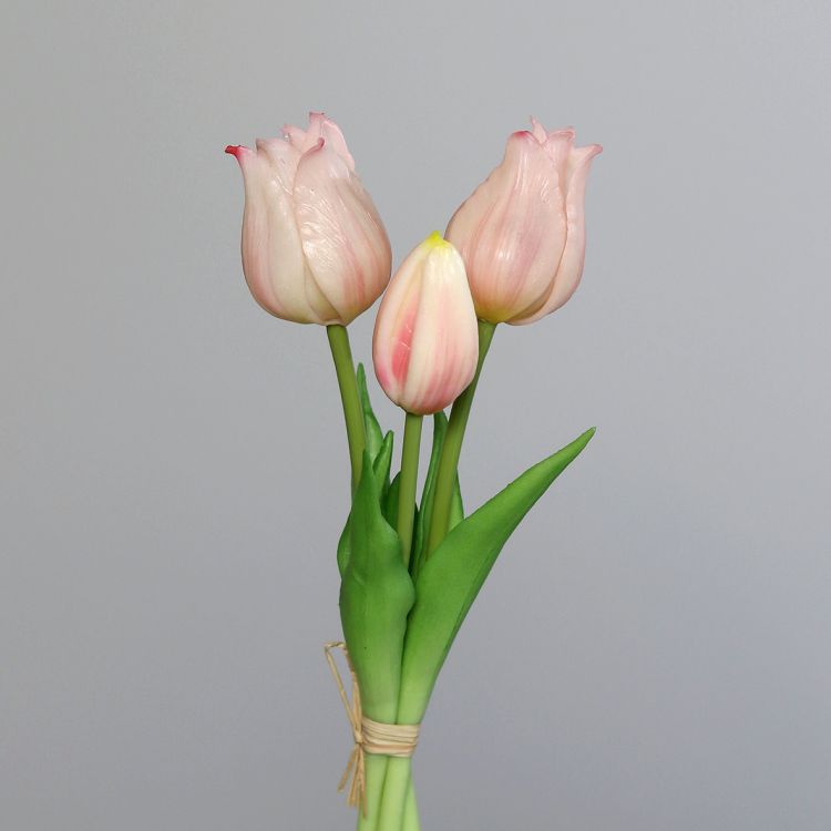 brühl Tulpenbundrosee Blumen rosa / pink